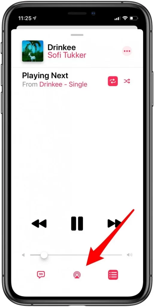 Playback screen on Apple Music App
