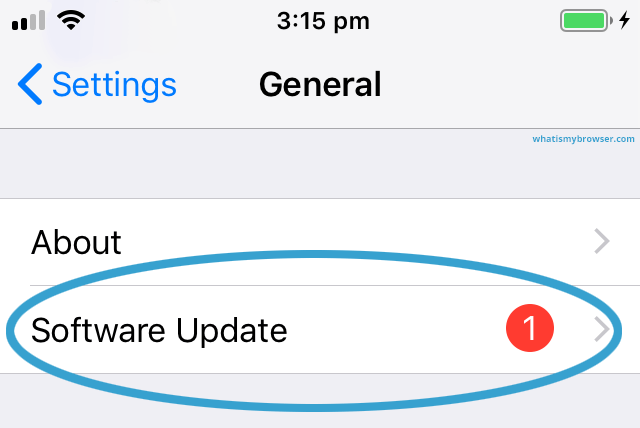 Select Software Update on iOS device in Settings to fix AirPlay Subtitles not showing issue