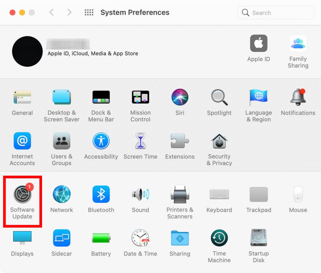 Choose Software Update on Mac under System Preferences
