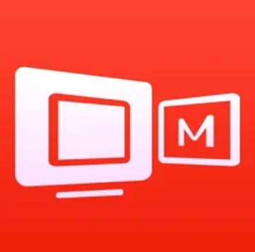 Mirroring Assist