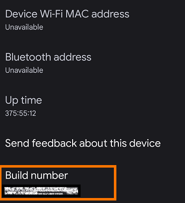 Click 7 times on the build number