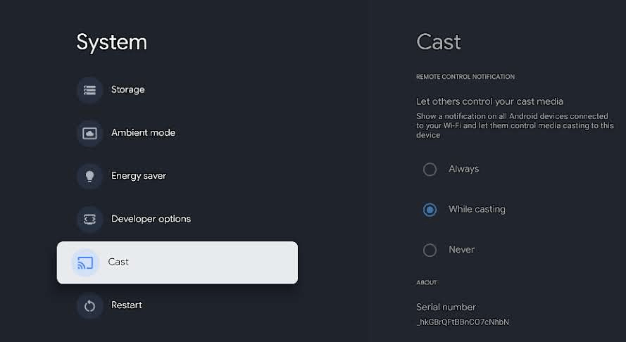Select the Cast option