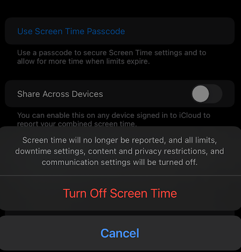 Click Turn Off Screen Time